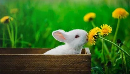 巴萨派出代表团登门拜访荷兰小将奈斯塔德劝说加盟|巴塞罗那|特温特|巴塞罗那竞技俱乐部|奥斯卡-塔瓦雷斯|阿杰伊_新浪体育_新浪新闻